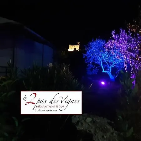 A 2 Pas Des Vignes, Hebergements Et Spa, Maison Numero 6, A Du Pape Villa