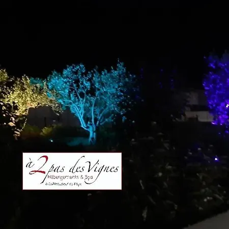 A 2 Pas Des Vignes, Hebergements Et Spa, Maison Numero 6, A Du Pape Villa