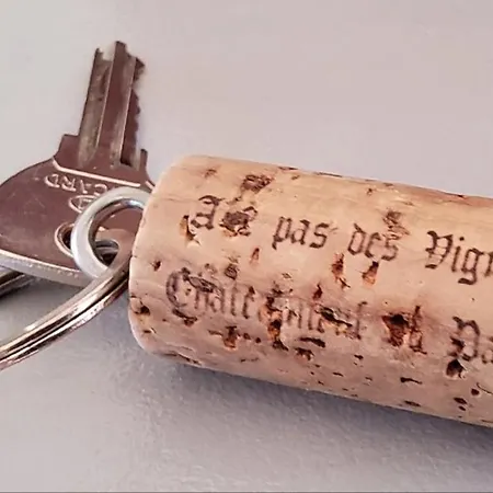 A 2 Pas Des Vignes, Hebergements Et Spa, Maison Numero 6, A Du Pape * Chateauneuf-du-Pape