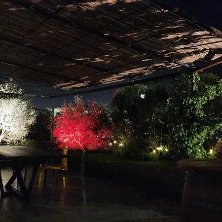 A 2 Pas Des Vignes, Hebergements Et Spa, Maison Numero 6, A Du Pape Villa *
